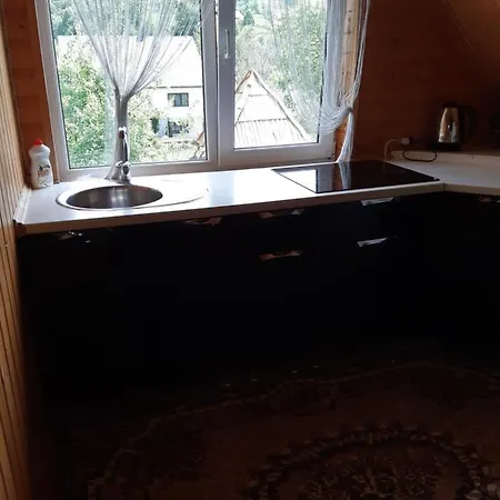 U Anastasijky 3* Synevyr