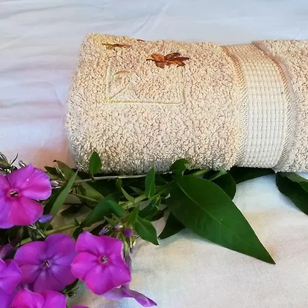 U Anastasijky Konukevi 3*