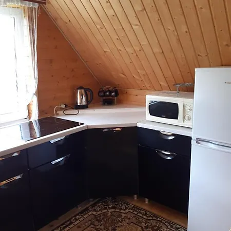 U Anastasijky Synewyr