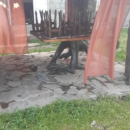 Πανσιόν U Anastasijky Synevyr