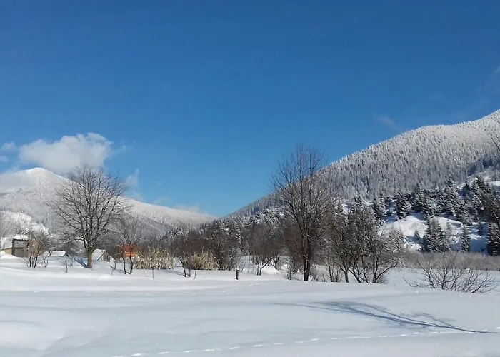 U Anastasijky 3* Synevyr