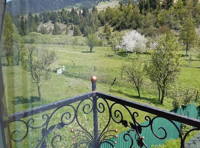Guest house U Anastasijky Synevyr
